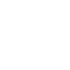 Symbol Blüte in weiss